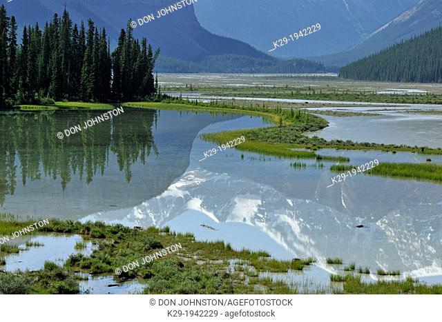 Mt. Kitchener reflected in the Beauty Creek pool near the Sunwapta River, Jasper National Park, Alberta, Canada