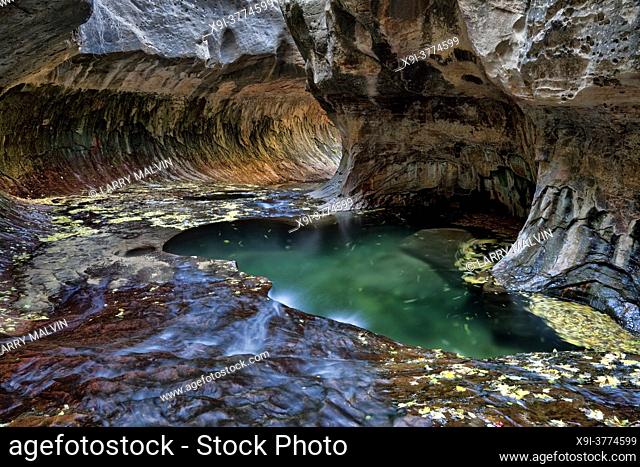 Green pools, flowing water and a circular rock formation at the Subway, a unique tunnel scuplted by the Left Fork of North Creek in Zion National Park, Utah