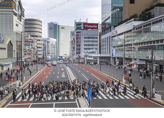 Japan , Tokyo City, Shinjuku District, South Shinjuku Station , Koshukaido Avenue