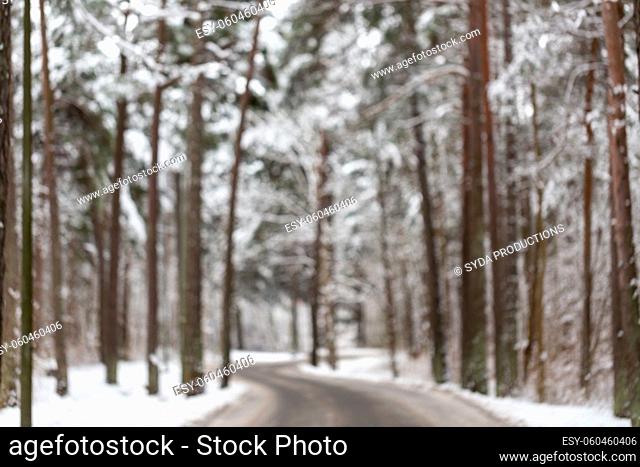 blurred landscape of road in winter snowy forest