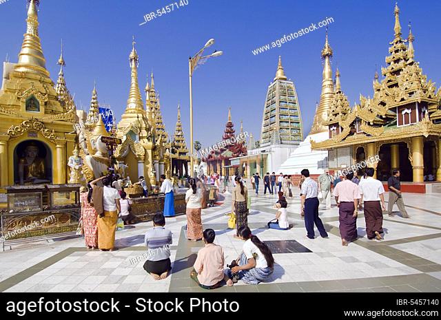 Praying worshippers make offerings to Buddha, Shwedagon Pagoda, Yangon, Burma, Myanmar, Yangon, Asia