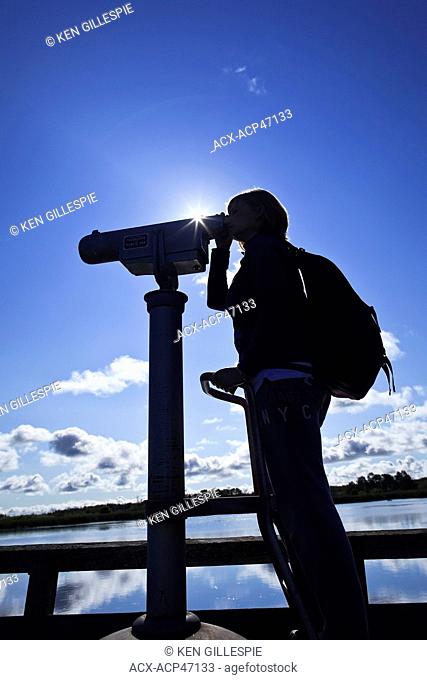 Woman looking through a telescope, bird watching, Grassy Narrows Marsh, Hecla Island Provincial Park, Manitoba, Canada