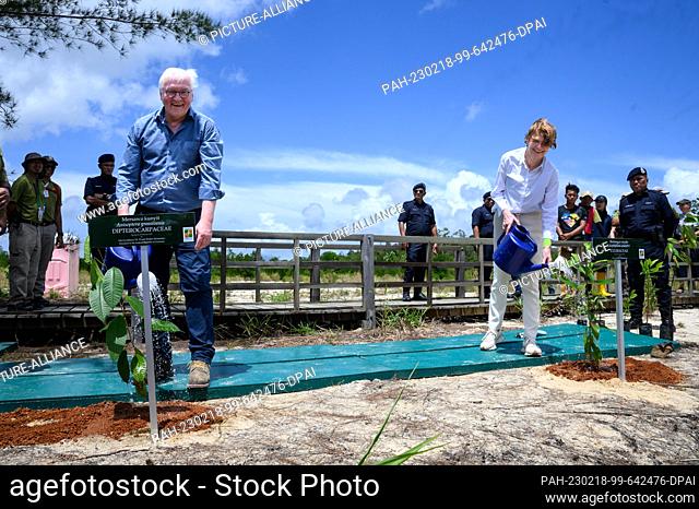 18 February 2023, Malaysia, Kuching: German President Frank-Walter Steinmeier (l-r) and his wife Elke Büdenbender plant two mangrove trees in Kuching Wetland...