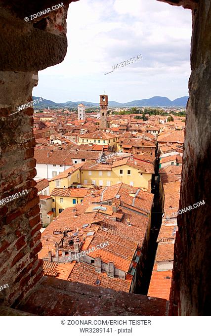 Blick vom Torre Guinigi über Lucca, Toskana, Italien