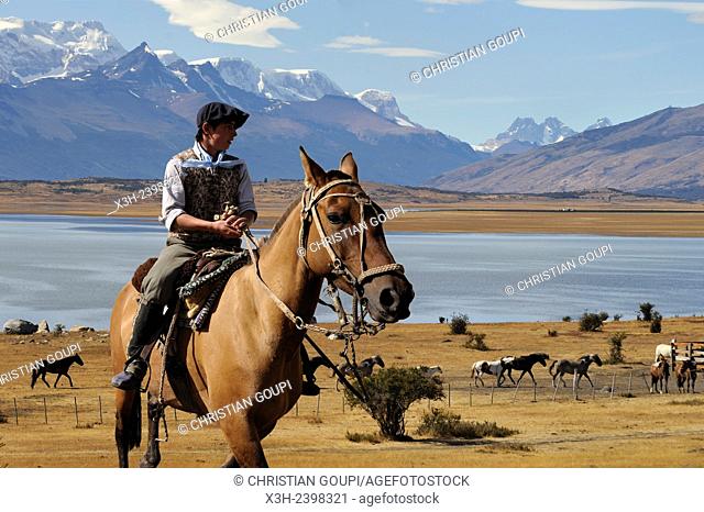 young ''gaucho'' on horseback, estancia Nibepo Aike on the Argentino lakeshore, around El Calafate, Patagonia, Argentina, South America