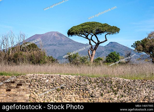 Landscape around the famous mount Vesuvius near Pompeii, Southern Italy