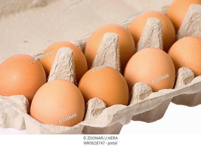 eggs in paper egg carton