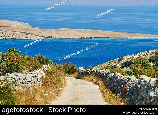 Landscape, path to the beach of Belej (Koroma?na), stone wall, vegetation, Cres, Croatia, Europe