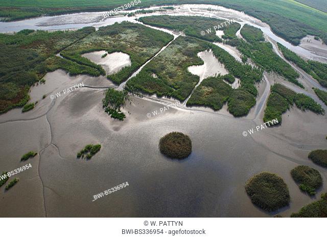 aerial view to tide ways and salt meadows, Netherlands, Zeeuws-Vlaanderen, Verdronken land van Saeftinghe