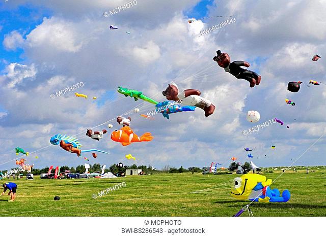 kites at the kite festival in Schillig, Germany, Lower Saxony, Frisia, Wangerland