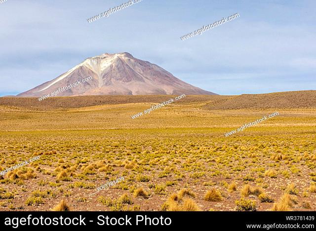 View of the altiplano near Canapa Lake (Laguna Canapa), Potosi Department, southwestern Bolivia, South America