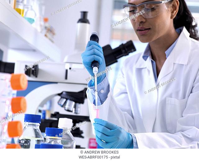 Genetic research, female scientist pipetting DNA or chemical sample into a eppendorf vial, analysis in the laboratory