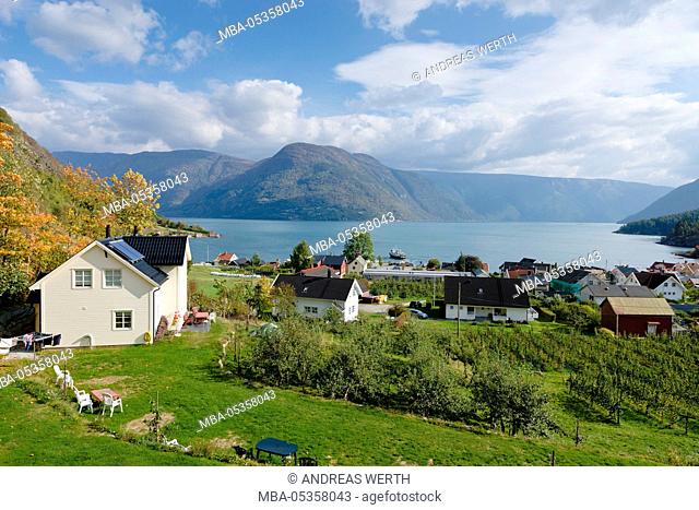 Village Solvorn, at the Lustrafjord, inner branch of Sognefjord, typical norwegian wooden houses, autumn, Lustrafjord, Sogn og Fjordane, Norway, Europe