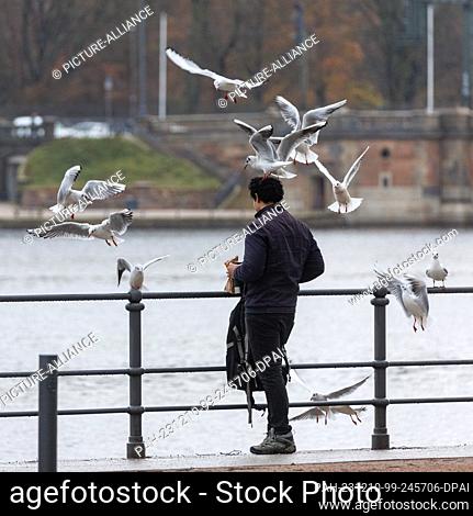 10 December 2023, Hamburg: A man feeds seagulls in the drizzle on the Inner Alster. Photo: Markus Scholz/dpa. - Hamburg/Hamburg/Germany