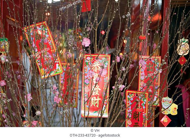 Chinese new year celebrations in temple, Nam Bin Wei, Yuen Long, Hong Kong
