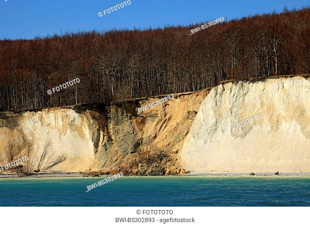 view from the sea at the steep coast with the famous chalk cliffs and a place of fresh erosion in it, Germany, Mecklenburg-Western Pomerania