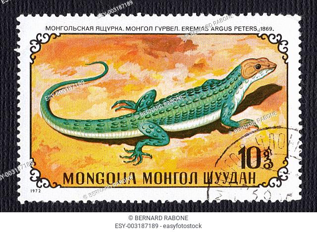 Mongolian Lizard Stamp