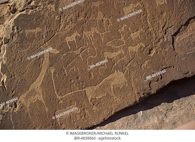 Ancient rock engravings, Twyfelfontein, Namibia, Africa