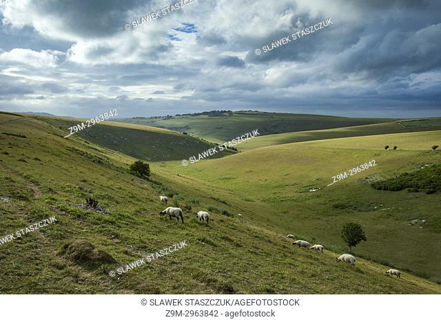 Summer afternoon in South Downs National Park, East Sussex, England