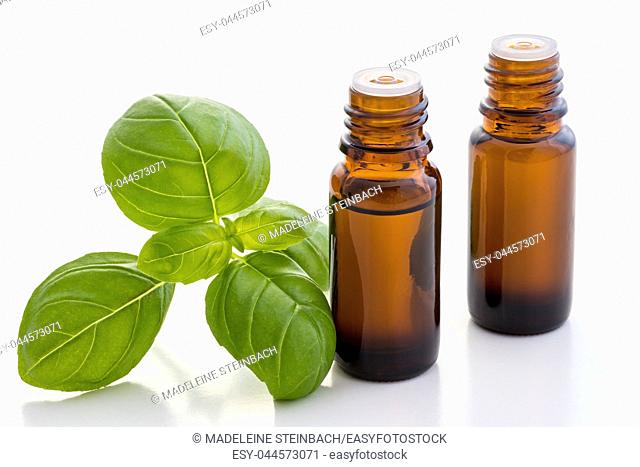 Two bottles of basil essential oil with fresh basil leaves on a white background