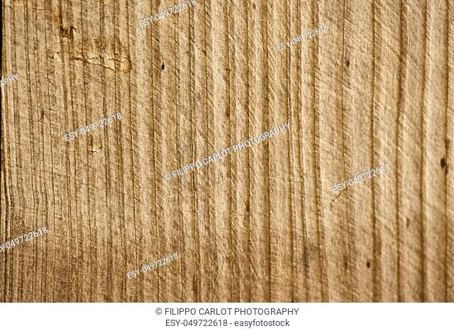 Raw cherry wood surface still to be processed in macro shooting