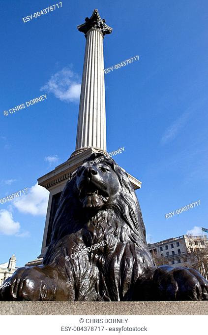 Nelson's Column and Lion Statue in Trafalgar Square