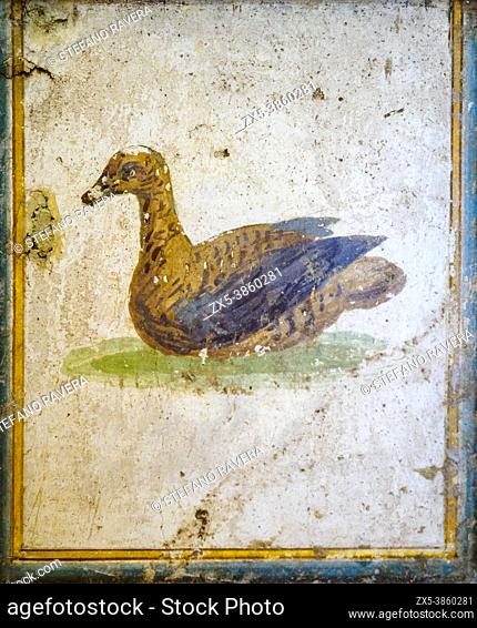 'Vignette' with bird. Fresco. Stabiae, Villa Arianna 10-45 AD