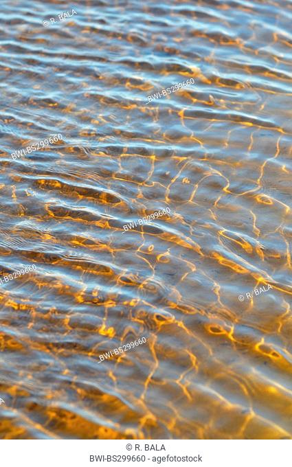 amber-coloured shallow water with slight waves at the sand beach, Germany, Mecklenburg-Western Pomerania