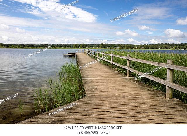 Bridge, natural open-air swimming pool, Feisnecksee, Müritz National Park, Mecklenburg Lake District, Mecklenburg-Western Pomerania, Germany