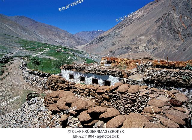 Yak dung laid out of drying, houses, path, Tetha village, Zanskar, Ladakh, Indian Himalayas, Jammu and Kashmir, North India, India, Asia