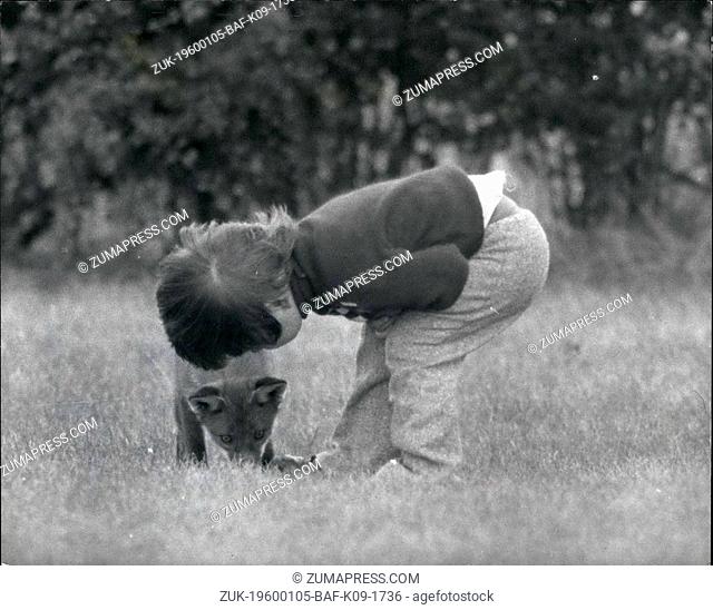 1968 - Secret friends.: Somewhere in East Anglia, four-year-old Christian, is playing hide-and-seek with his secret pal a young wildfox