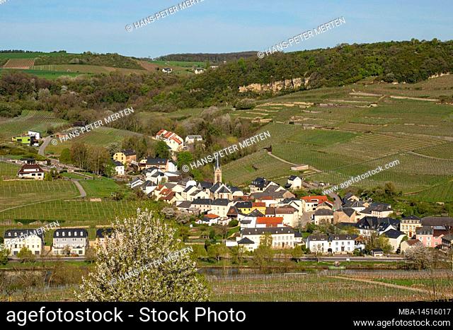 View from Rehlingen near Nittel to Ahn, Luxembourg, Moselsteig, Section 2, Palzem-Nittel, Upper Mosel, Rhineland-Palatinate, Germany
