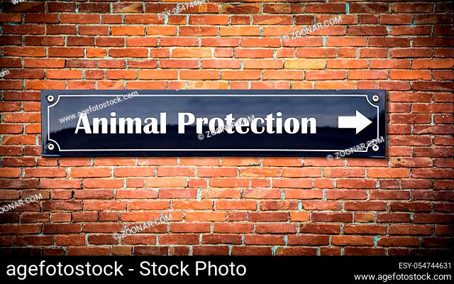 Street Sign the Direction Way to Animal Protection