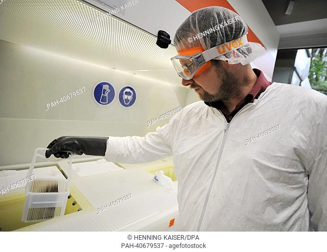 An employee dips a carrier for silicium plates into an acid pool in the Fraunhofer institute for solar energy systems in Gelsenkirchen, Germany, 26 June 2013