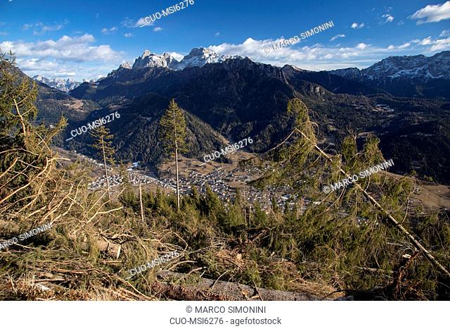 crash of a trees after atmospheric event in the end of October 2018 at Primiero, Mezzano e Transacqua e Siror, Trentino, Italy, Europe