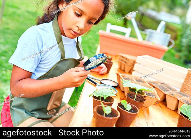 Kind mit Pflanzen und Lupe im Umweltschutz und Ökologie Projekt im Sommercamp