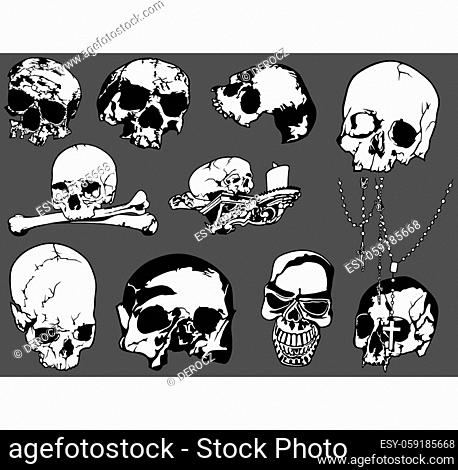 Set of Black and White Human Skulls Isolated on Gray Background - Design Element Illustrations, Vector