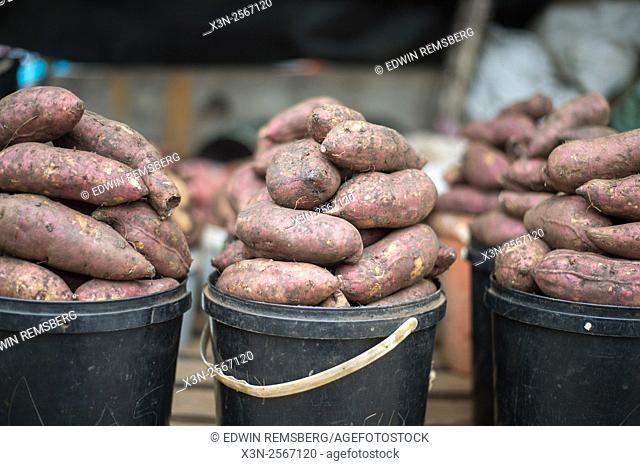 Yams for sale at the Manzini Wholesale Produce and Craft Market in Swaziland, Africa