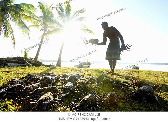 France, New Caledonia, Isle of Pines, Bay of Saint Joseph, fishing lobster back to china