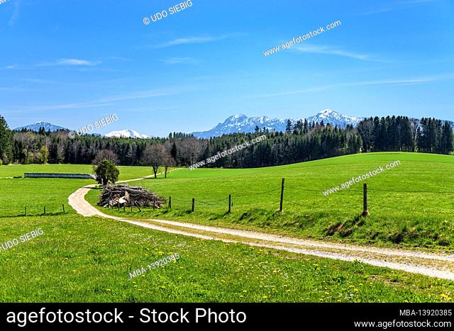 Germany, Bavaria, Upper Bavaria, Pfaffenwinkel, Eglfing, district Tauting, spring landscape against the foothills of the Alps with Herzogstand and Heimgarten