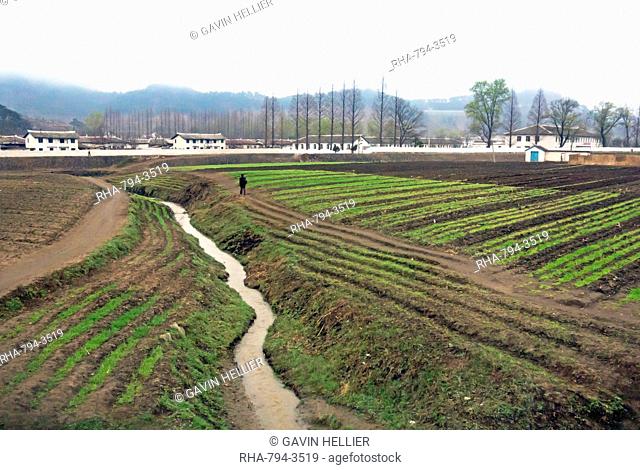 Countryside between Wonsan and Hamhung, Democratic People's Republic of Korea DPRK, North Korea, Asia