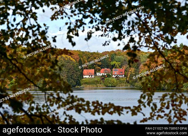 23 October 2021, Brandenburg, Siehdichum: The deciduous forest at Hammersee in the Schlaubetal Nature Park is colourful in autumn