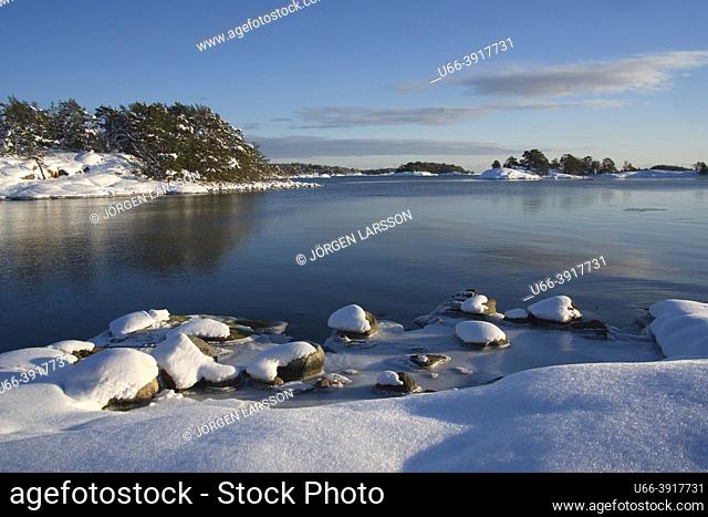 Winter at Stendorren Sodermanland Sweden