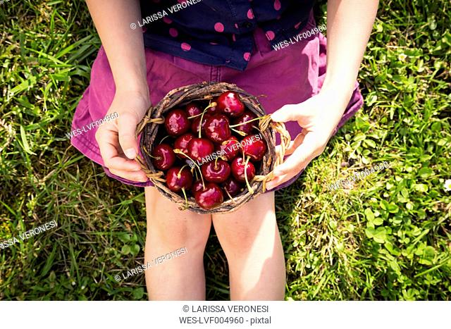 Girl sitting on a meadow holding punnet of sweet cherries, partial view