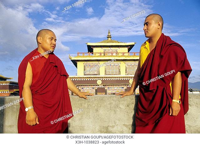 monks on the roof of Shechen monastery, Buddhist philosophy university, Bodnath, Katmandu, Nepal, Himalaya, South Asia