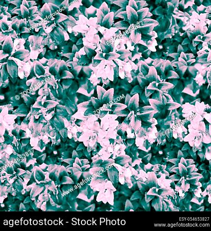 Digital photo collage and manipulation technique nature floral collage motif seamless pattern design in pale pink and turquoise tones