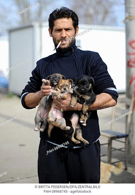 A man holds three puppies in his hands in the Makis settlement, which is inhabited by Roma people in Belgrade, Serbia, 9 April 2013