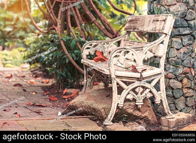 Old chairs with nature in the park