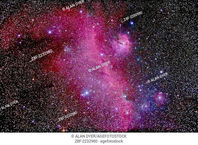 IC 2177 Complex known as the Seagull Nebula, that includes NGC 2337, and Gum 1 (patch of nebulosity at right) and NGC 2343 cluster at left and NGC 2335 cluster...