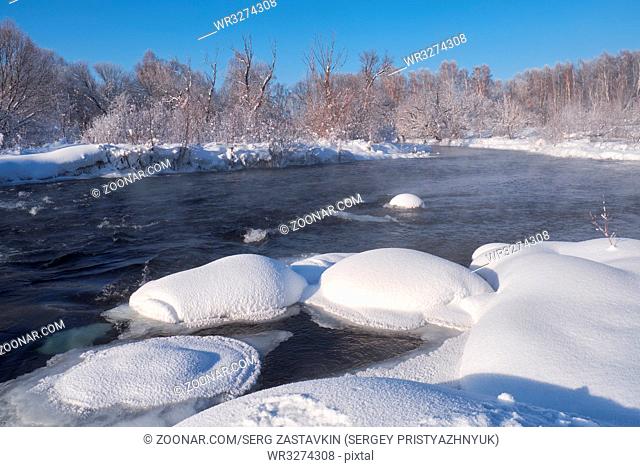 River Koksha surrounded by trees under hoarfrost and snow in Altai region in winter season, Siberia, Russia